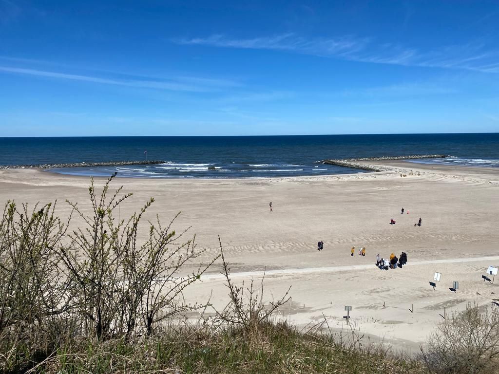 Działka rolna Rusinowo. Zdjęcie 7