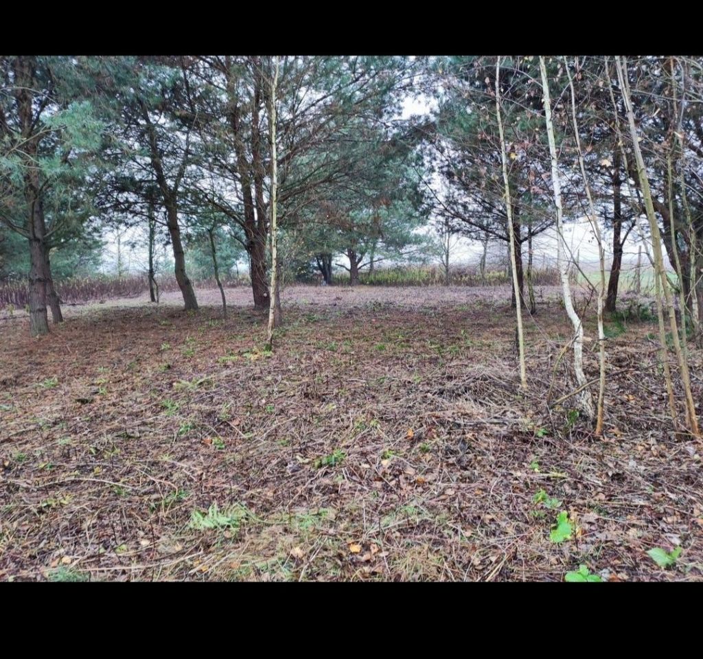 Działka budowlana Wymysły, ul. Limonkowa. Zdjęcie 6