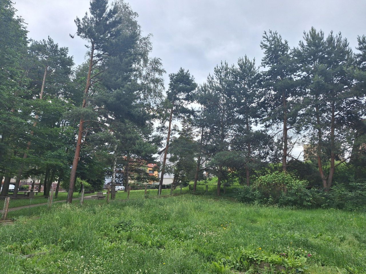 dom wolnostojący, 7 pokoi Bogatynia, ul. Dzika. Zdjęcie 16