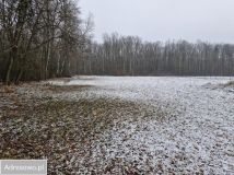 Działka rolno-budowlana Bobrek, ul. Leśna. Zdjęcie 1