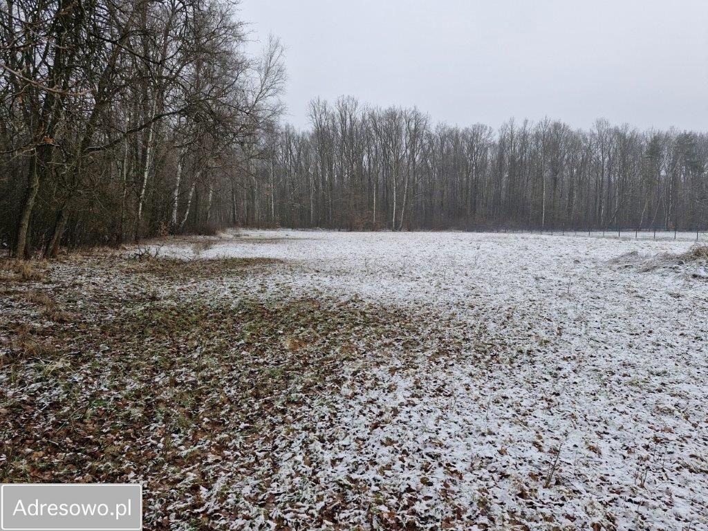 Działka rolno-budowlana Bobrek, ul. Leśna. Zdjęcie 2