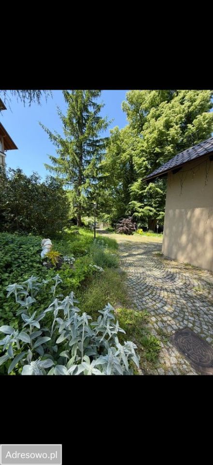 Nieruchomość komercyjna Karpacz. Zdjęcie 8