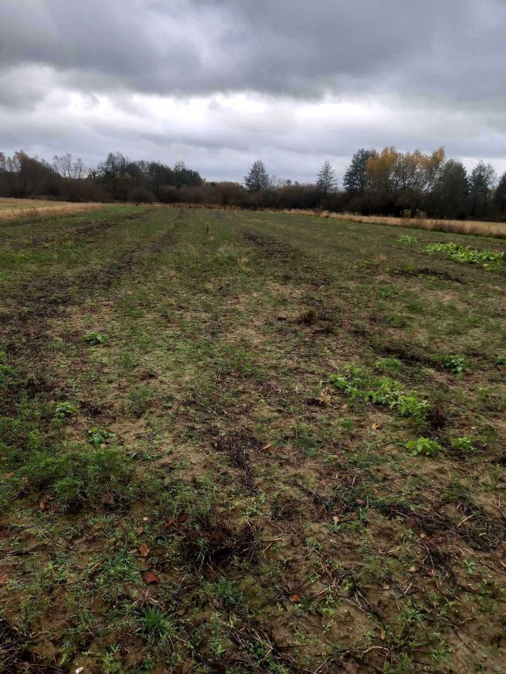 Działka rolno-budowlana Wola Korybutowa-Kolonia. Zdjęcie 3