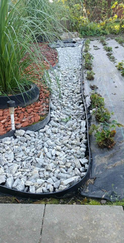 Działka rod Bierkowo, Brak.. Zdjęcie 4