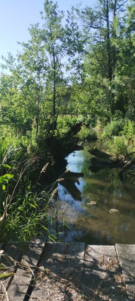 Działka rolna Strzeszkowice Duże. Zdjęcie 4