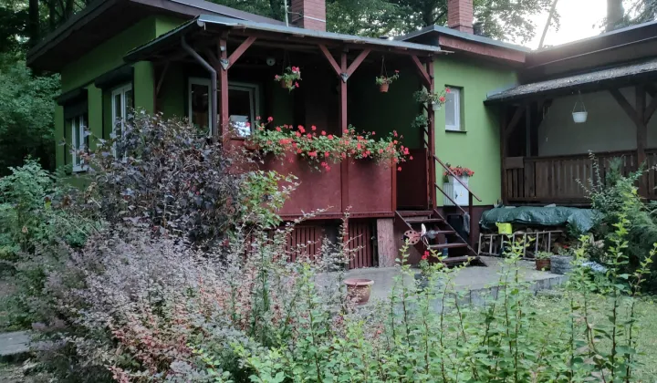 dom letniskowy, 2 pokoje Okonin, Bez nazyw