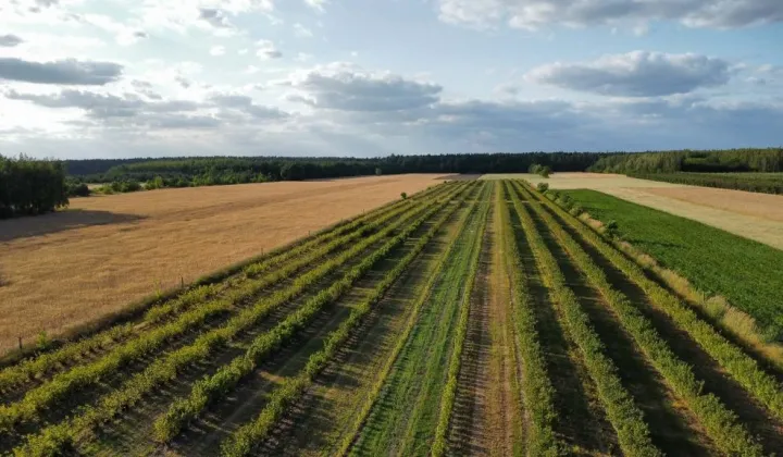 Działka rolna Mała Wieś