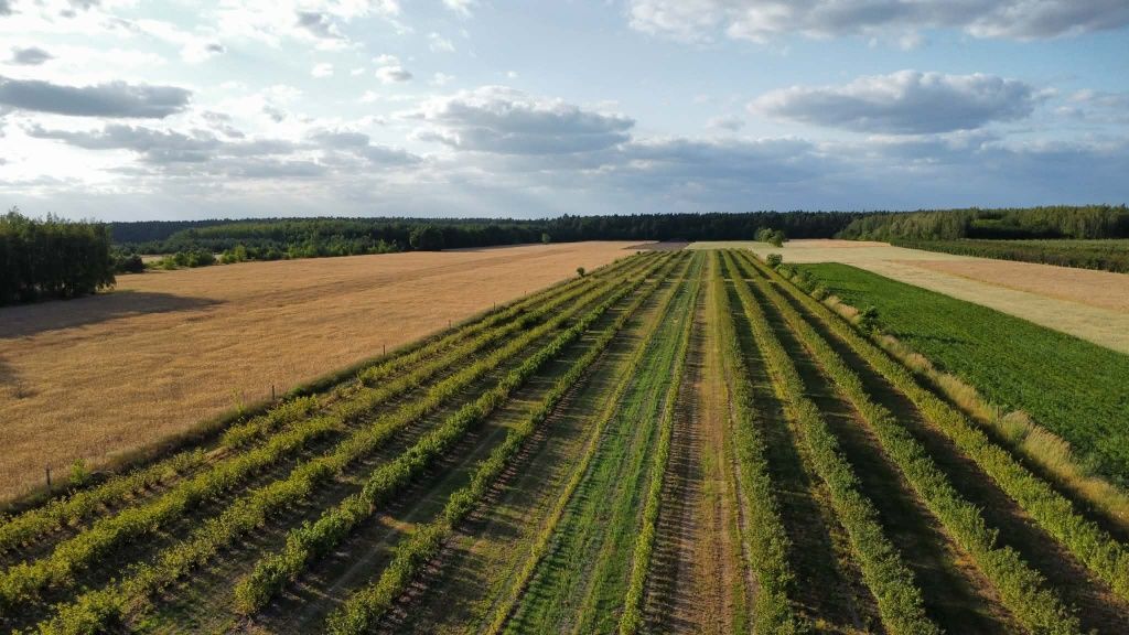 Działka rolna Mała Wieś. Zdjęcie 1