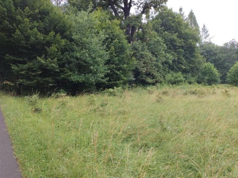 Działka budowlana Kalety Truszczyca, Aleja Dębowa. Zdjęcie 9