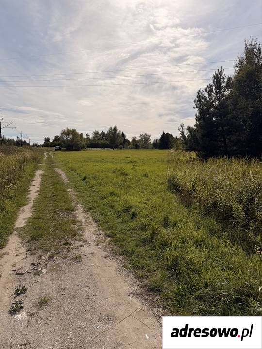 Działka rolno-budowlana Rytwiany. Zdjęcie 6