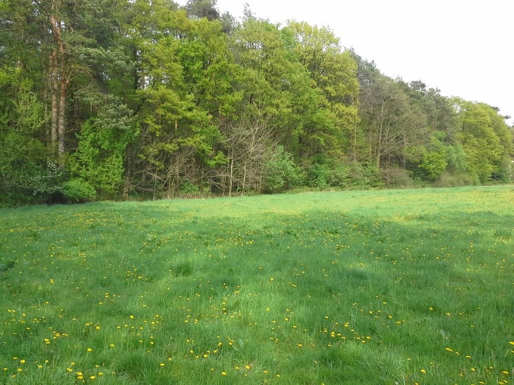 Działka budowlana Garbówek. Zdjęcie 8