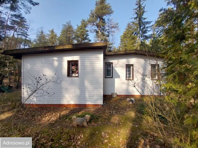 dom letniskowy Kania Polska, ul. Wydmowa. Zdjęcie 1