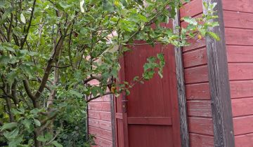 Działka rod Białystok Pieczurki, ul. Piastowska