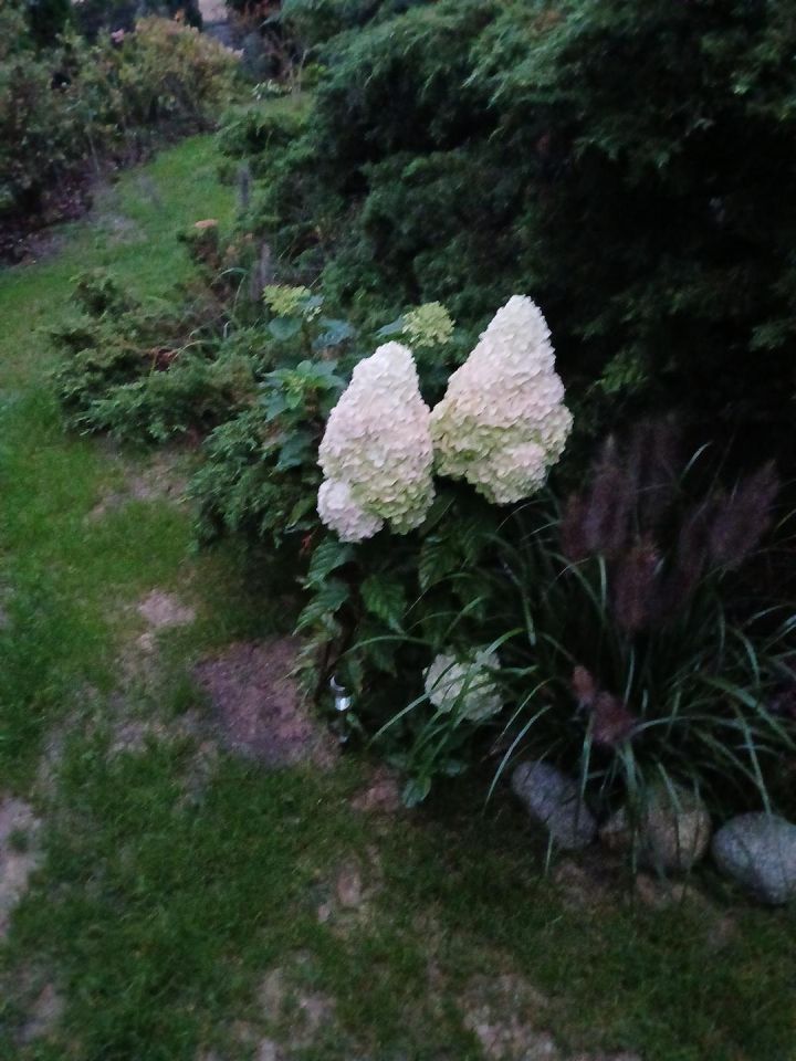 Działka rod Stefanowo, ul. Ułanów. Zdjęcie 12