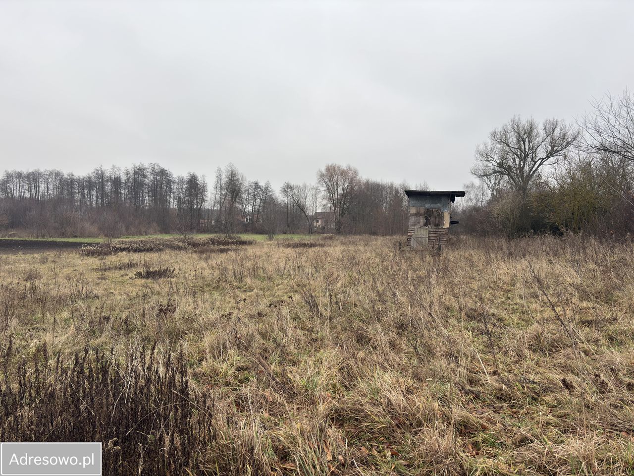 Działka budowlana Siennica, ul. gen. Władysława Sikorskiego. Zdjęcie 10