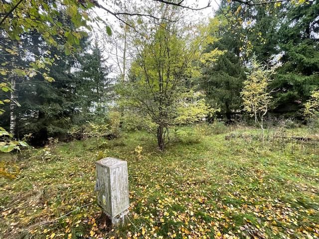 Działka rekreacyjna Bogaczewo. Zdjęcie 4