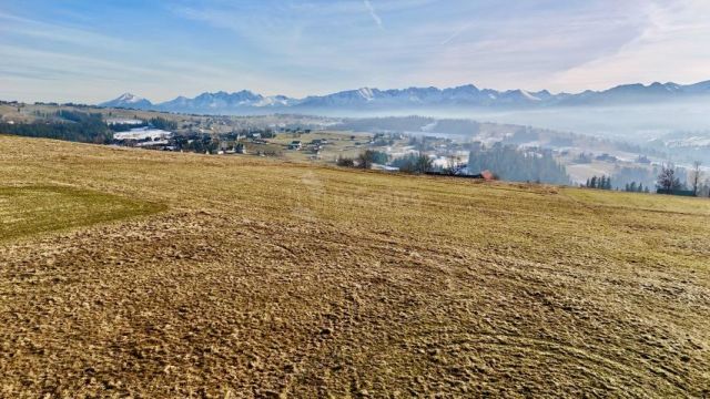 Działka rolna Czerwienne. Zdjęcie 6