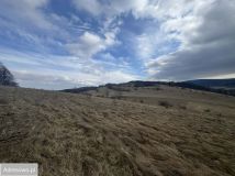 Działka rolna Glinno. Zdjęcie 4