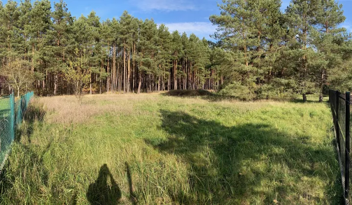 Działka budowlana Osowiec Osowiec-Osiedle, ul. Leśna