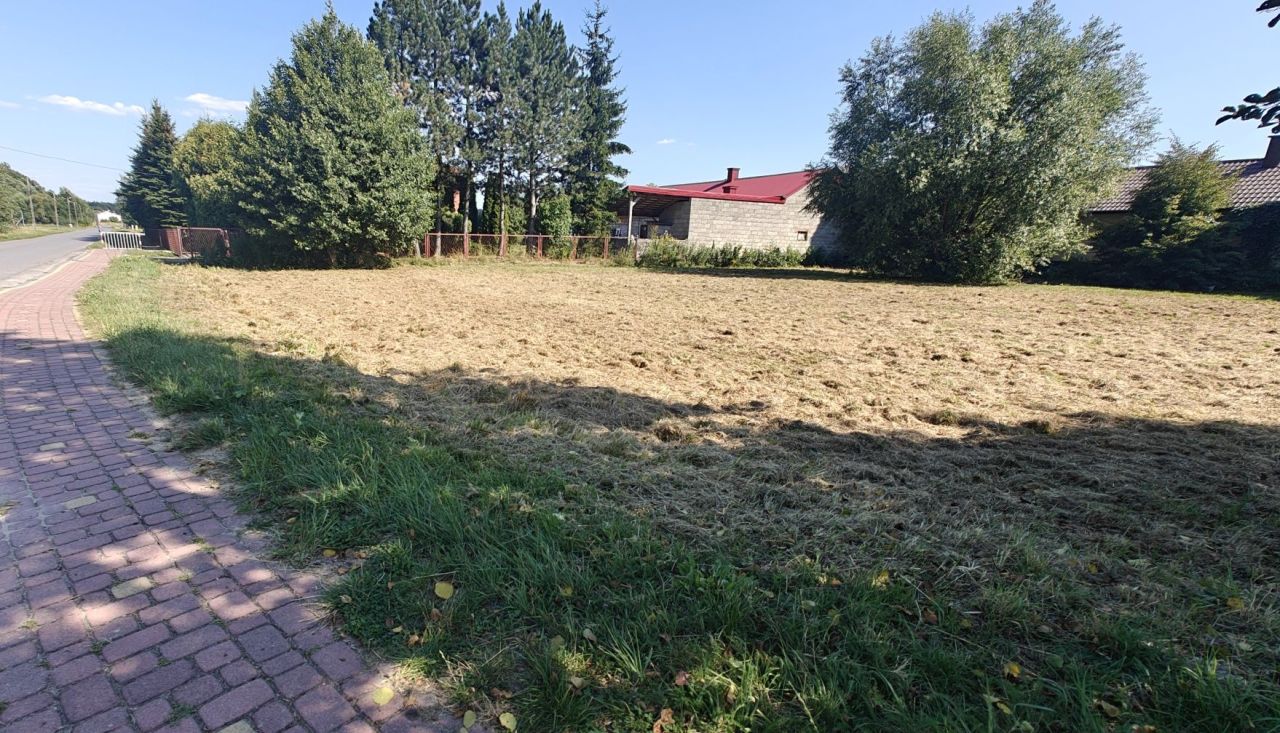 Działka budowlana Trzeboś, ul. Leśna. Zdjęcie 7