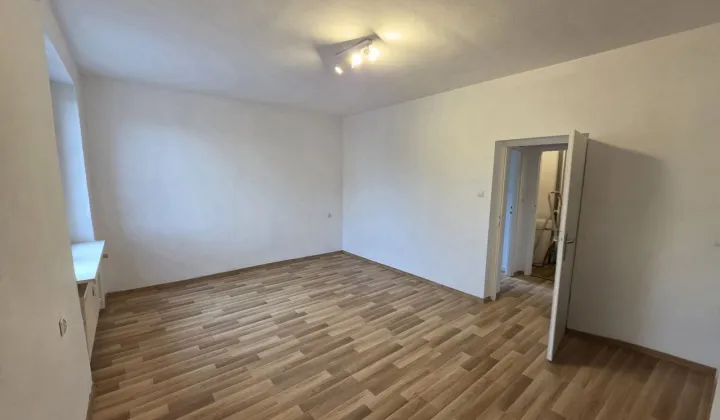 Mieszkanie 1-pokojowe Poznań Wilda, ul. Kasztanowa