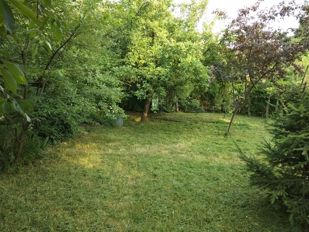 Działka rod Gliwice Śródmieście, ul. Feliksa Orlickiego. Zdjęcie 10