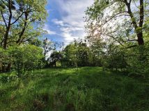 Działka rolno-budowlana Nowa Wieś-Śladów. Zdjęcie 1