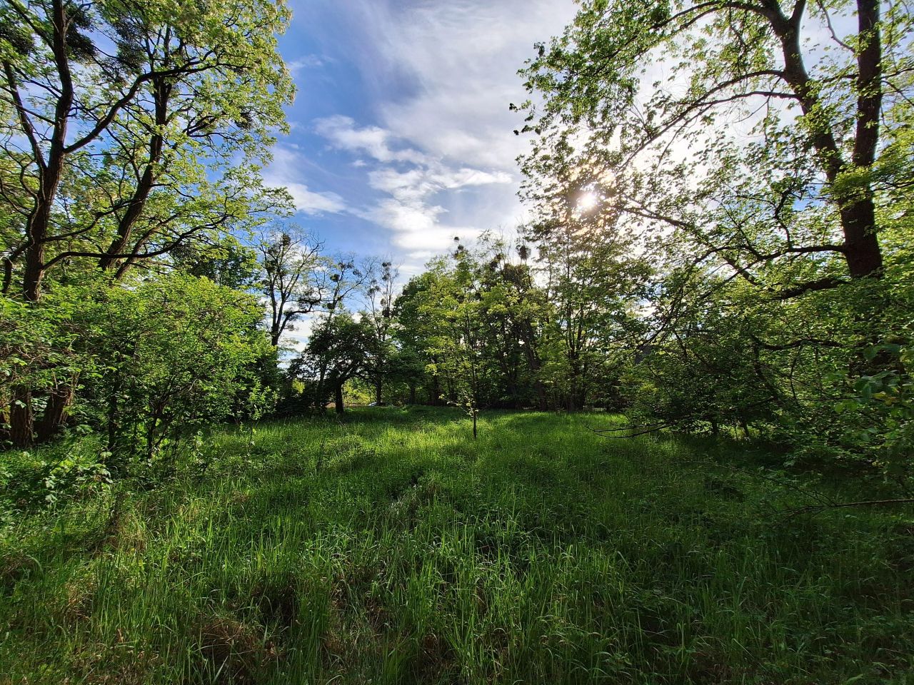 Działka rolno-budowlana Nowa Wieś-Śladów. Zdjęcie 2