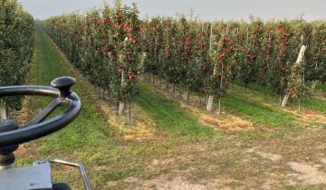 Działka rolna Gnieszowice