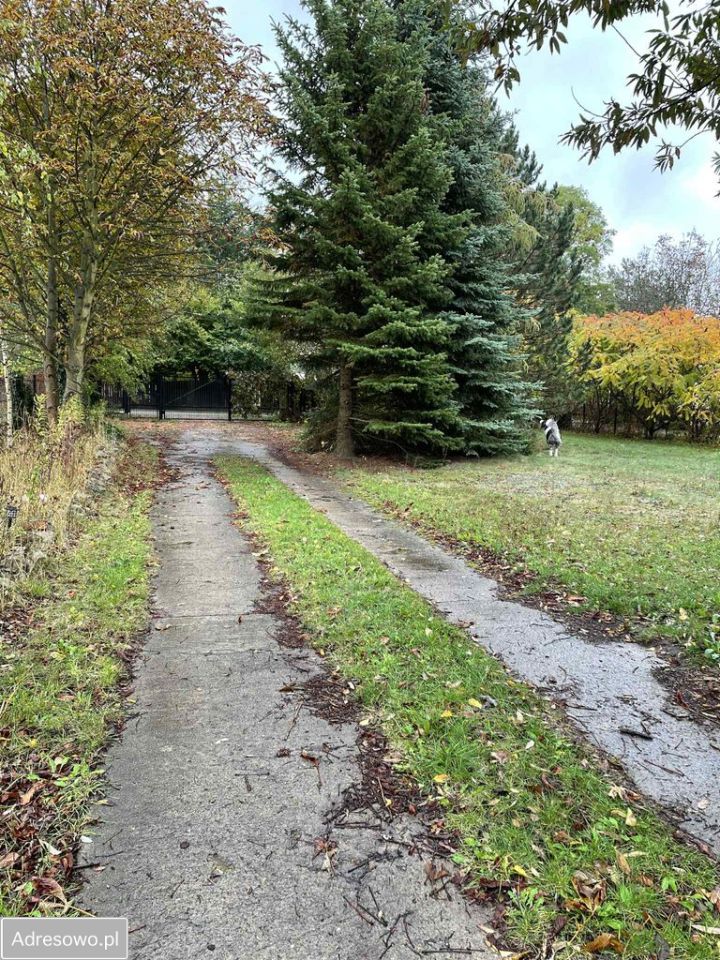 Działka budowlana Żabieniec. Zdjęcie 4