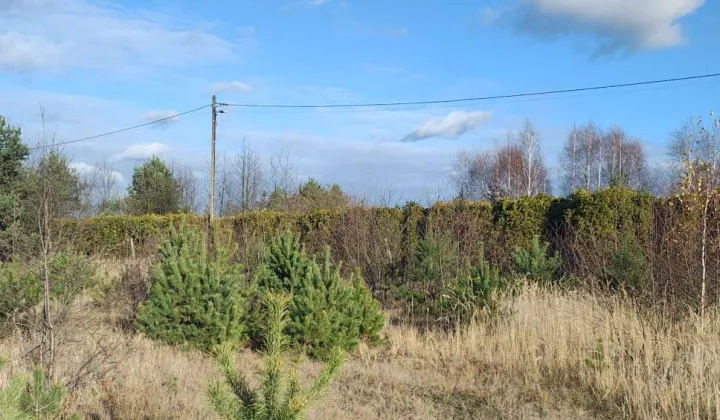 Działka budowlana Nowe Chechło, ul. św. Brata Alberta