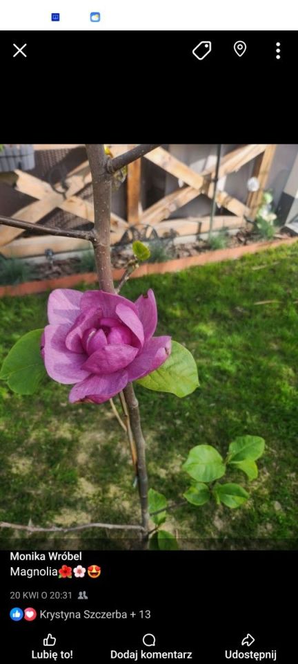 Działka rod Tarnów. Zdjęcie 2