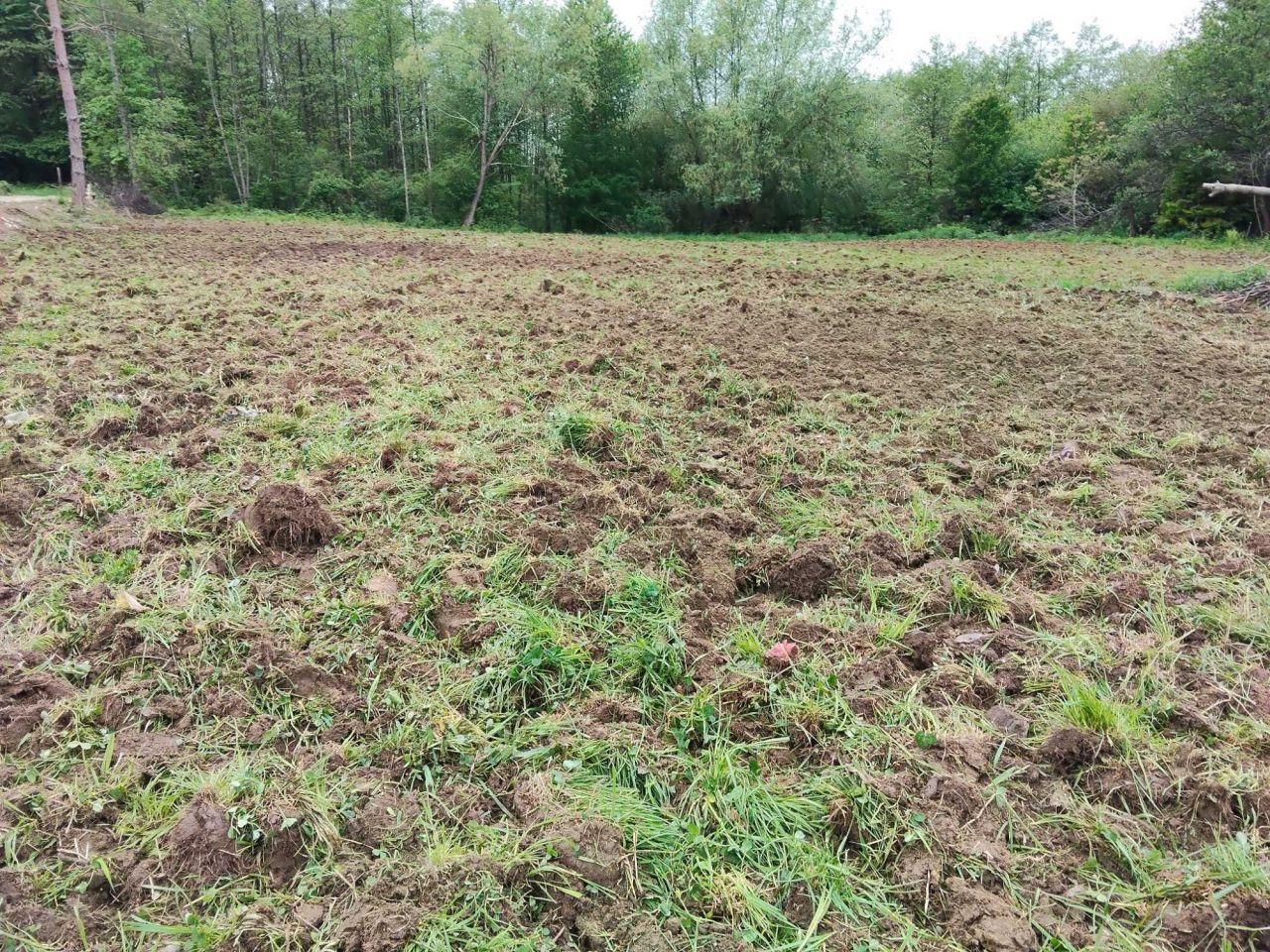 Działka rolno-budowlana Wola Stróska. Zdjęcie 3