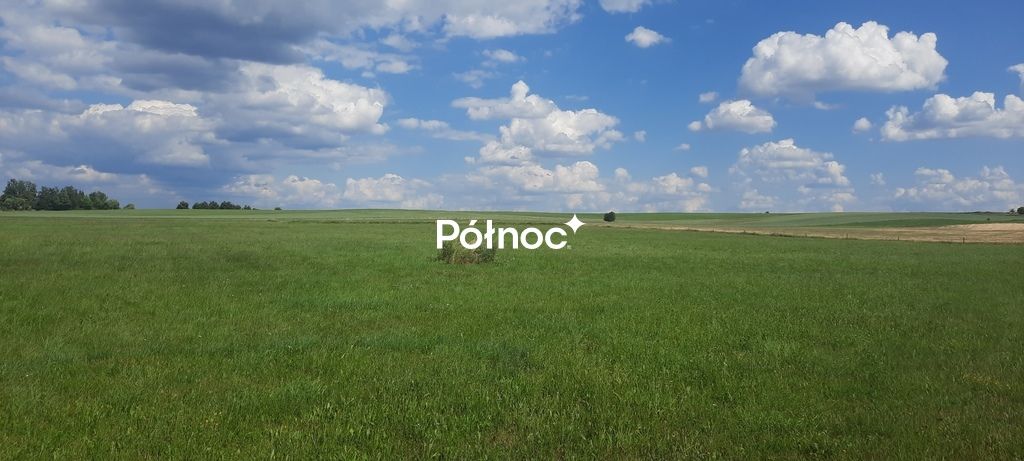 Działka rolna Dobrzyniewo Kościelne. Zdjęcie 5