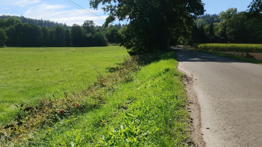 Działka rolna Ścinawka Dolna. Zdjęcie 2