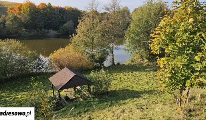 Działka Cetki