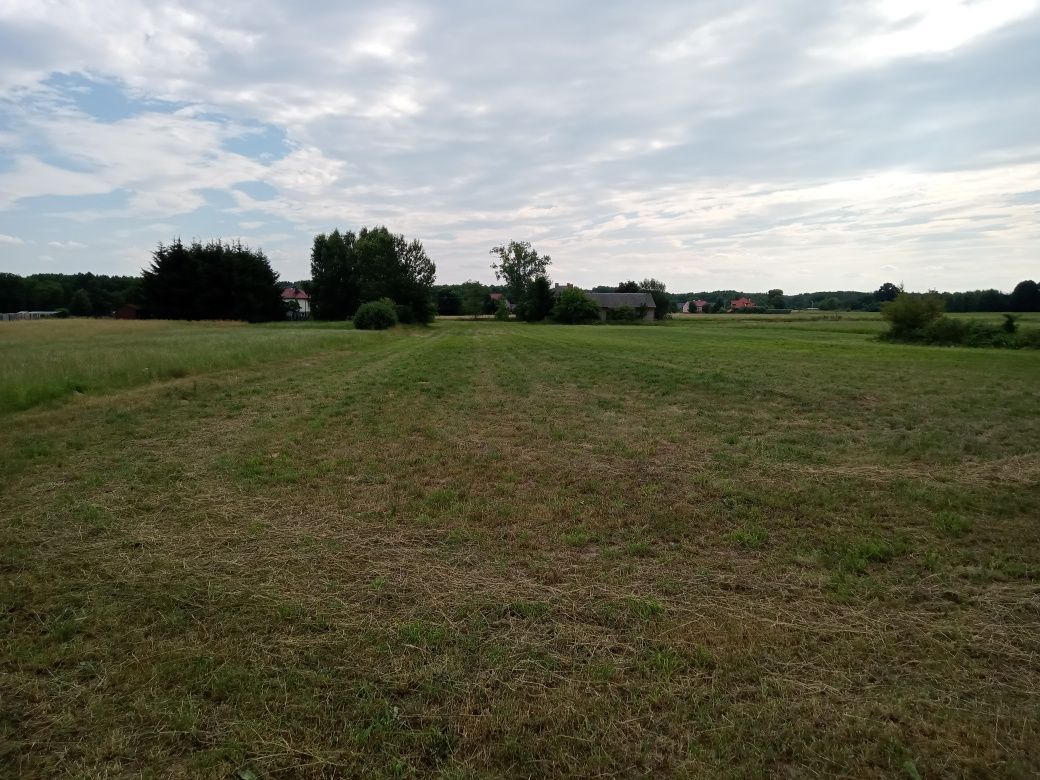 Działka rolno-budowlana Boguszyce Małe. Zdjęcie 1