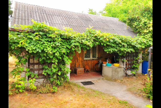 Działka rod Uniejów, ul. Polna. Zdjęcie 1