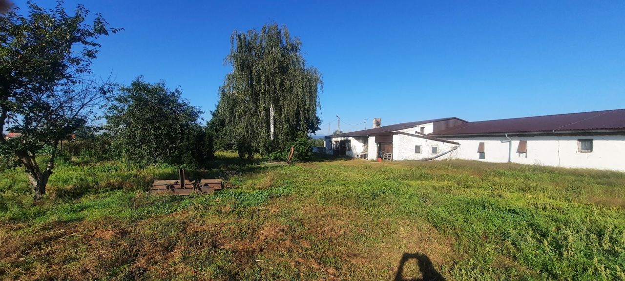 Nieruchomość komercyjna Branice, ul. Bolesława Prusa. Zdjęcie 8