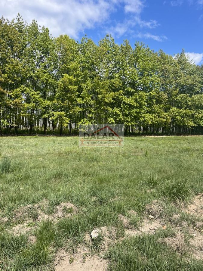 Działka budowlana Korzeniówka. Zdjęcie 5
