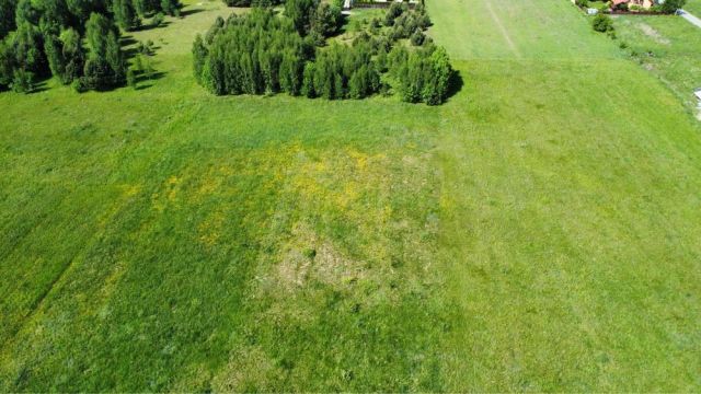 Działka budowlana Henrykowo, ul. Rubinowa. Zdjęcie 1