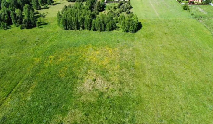 Działka budowlana Henrykowo, ul. Rubinowa