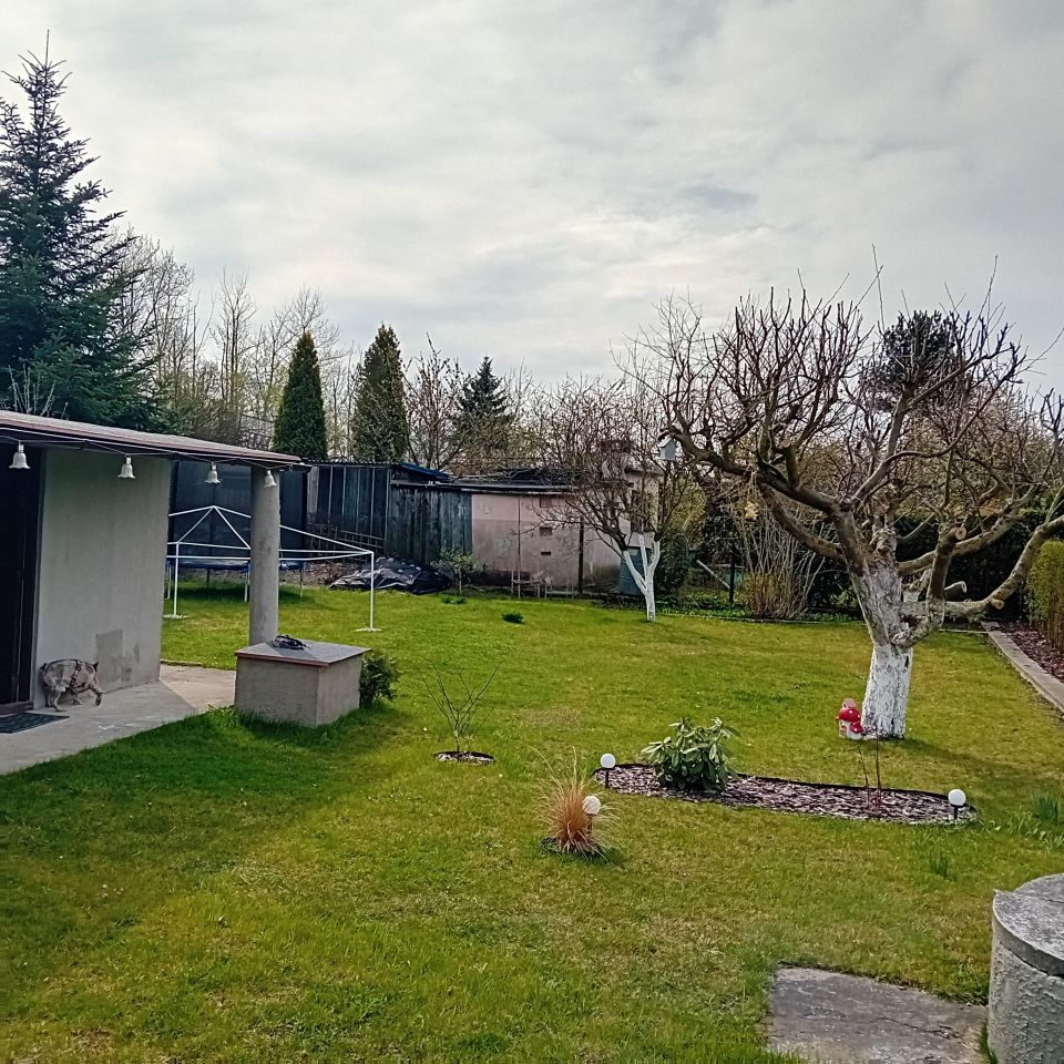 Działka rod Gliwice, ul. Rybnicka. Zdjęcie 6