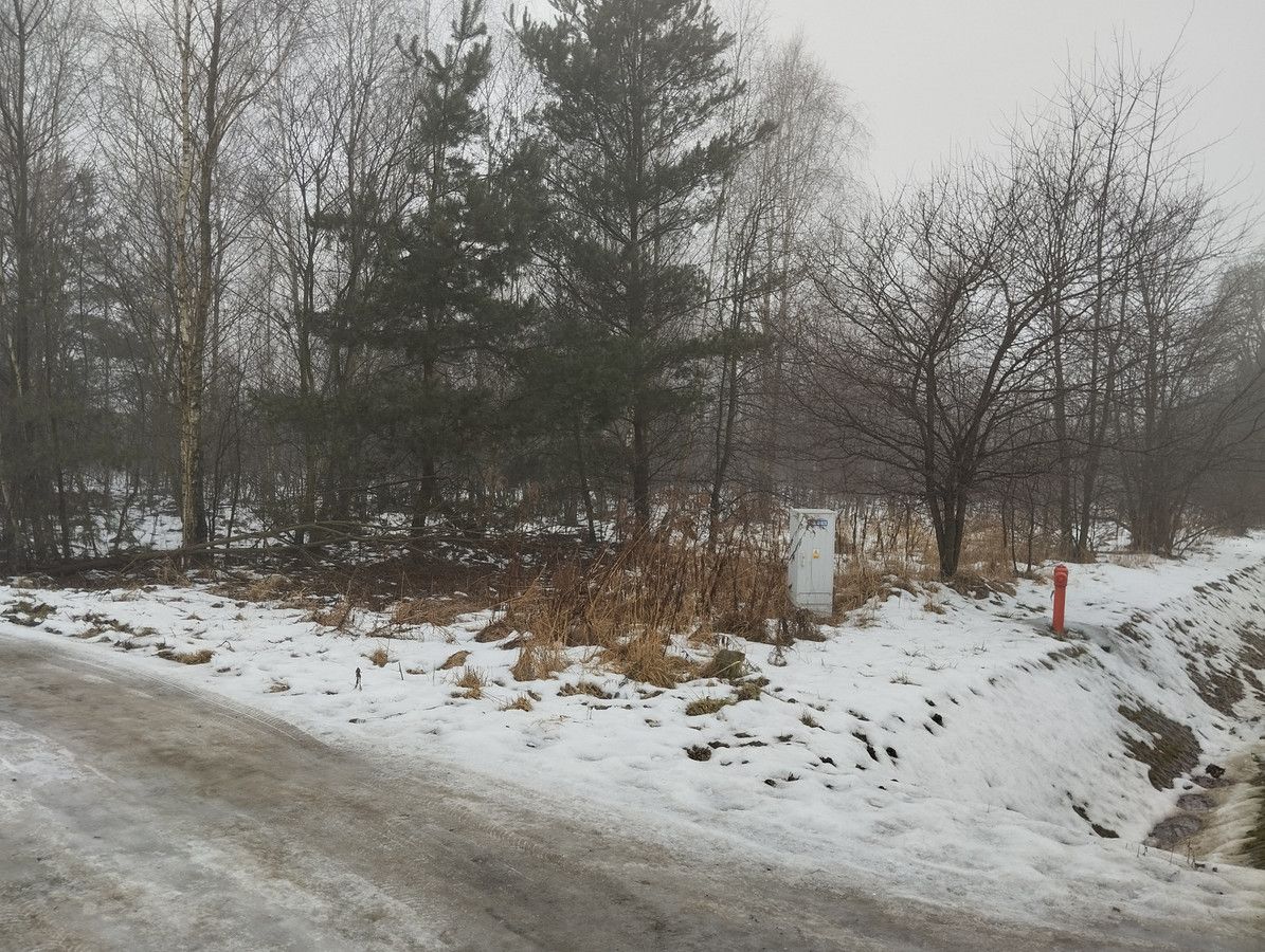 Działka rolno-budowlana Dąbrówka-Sowice. Zdjęcie 3