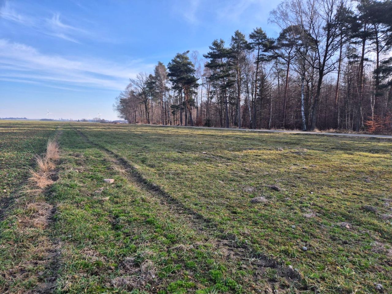 Działka budowlana Wilkowiczki, ul. Osiedlowa. Zdjęcie 9