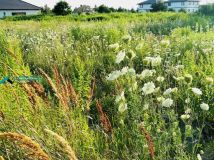 Działka rolno-budowlana Borzęcin Duży