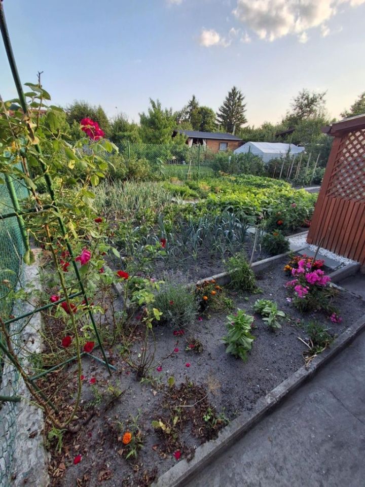 Działka rod Ostrowiec Świętokrzyski, ul. Marii Dąbrowskiej. Zdjęcie 5