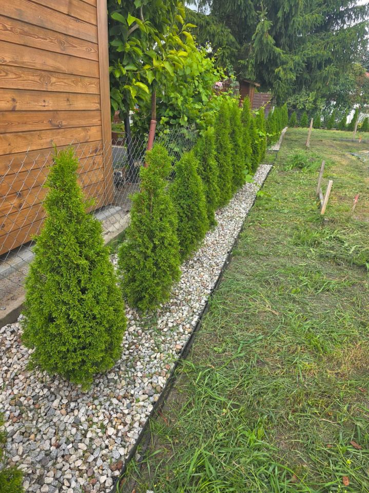 Działka rod Annowo. Zdjęcie 4