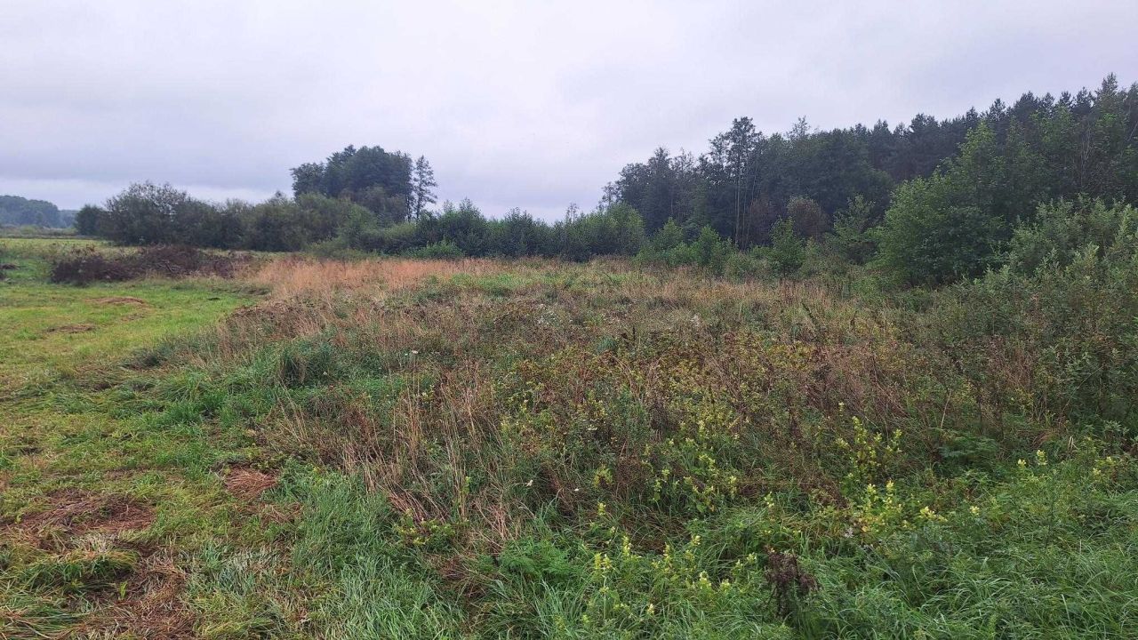 Działka rolna Chotum