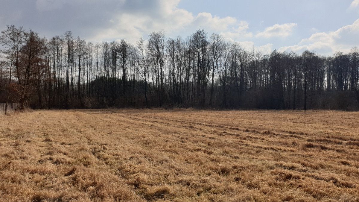 Działka budowlana Ciepłe, ul. Cichej Wody. Zdjęcie 10
